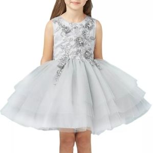 Tip top kids girl's silver tiered ruffle dress 12